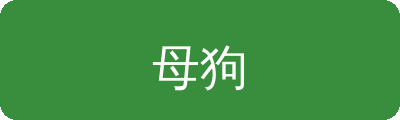 母狗传媒